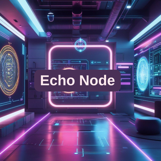 Echo Node